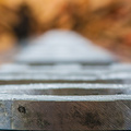 _IMG_2463.JPG