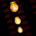 _IMG_7447.JPG