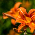 _IMG_5777.JPG