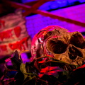 IMG_2677.jpg