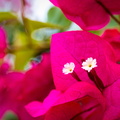 IMG_4801.jpg