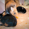 IMG_7995.jpg