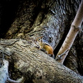 IMG_7684.jpg