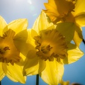 IMG_9242.jpg