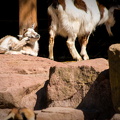 IMG_2853.jpg