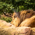 IMG_3798.jpg