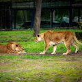 KL2A8554.jpg
